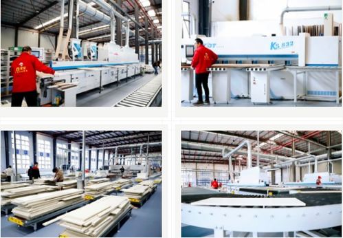 雪宝集团 大国工匠，家居典范