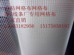 EPS线条自粘网格布价格及生产厂家指南 安平县君泰丝网制品厂的专业解析